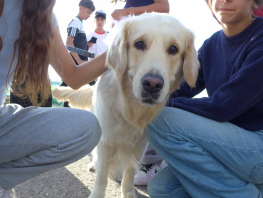 25 Arobase 3 109.jpg